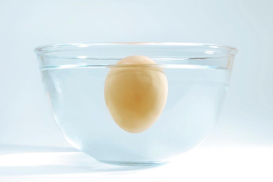 Science Explains Why Rotten Eggs Float