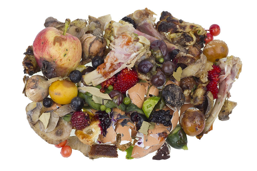 rotten-food-waste-isolated-concept-photograph-by-aleksandr-volkov