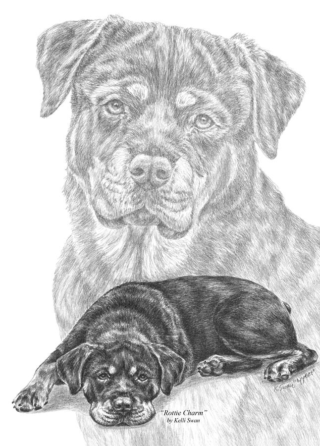 Rottie Charm - Rottweiler Dog Print Drawing by Kelli Swan