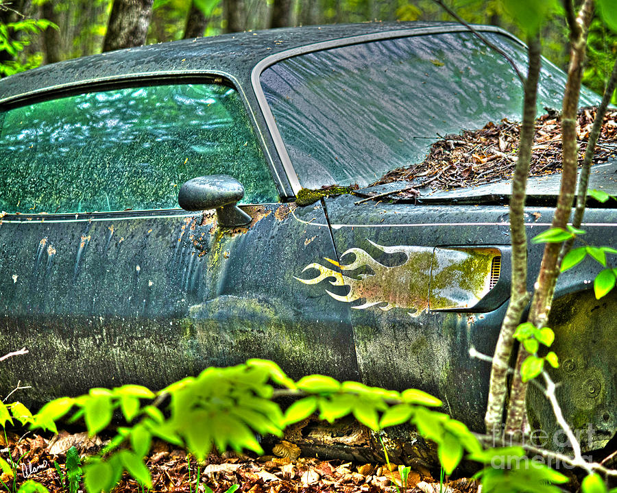 Rusty Old Car Photograph - Rotting Away by Alana Ranney