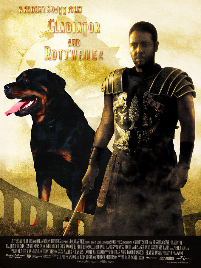 Rottweiler Art Canvas Print - Gladiator Movie Poster Painting by Sandra Sij