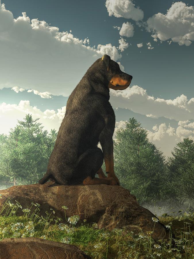 Rottweiler  Digital Art by Daniel Eskridge