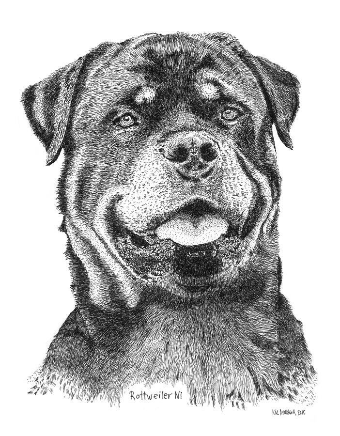 Rottweiler Ni Drawing by Kaz Ayukawa Fine Art America