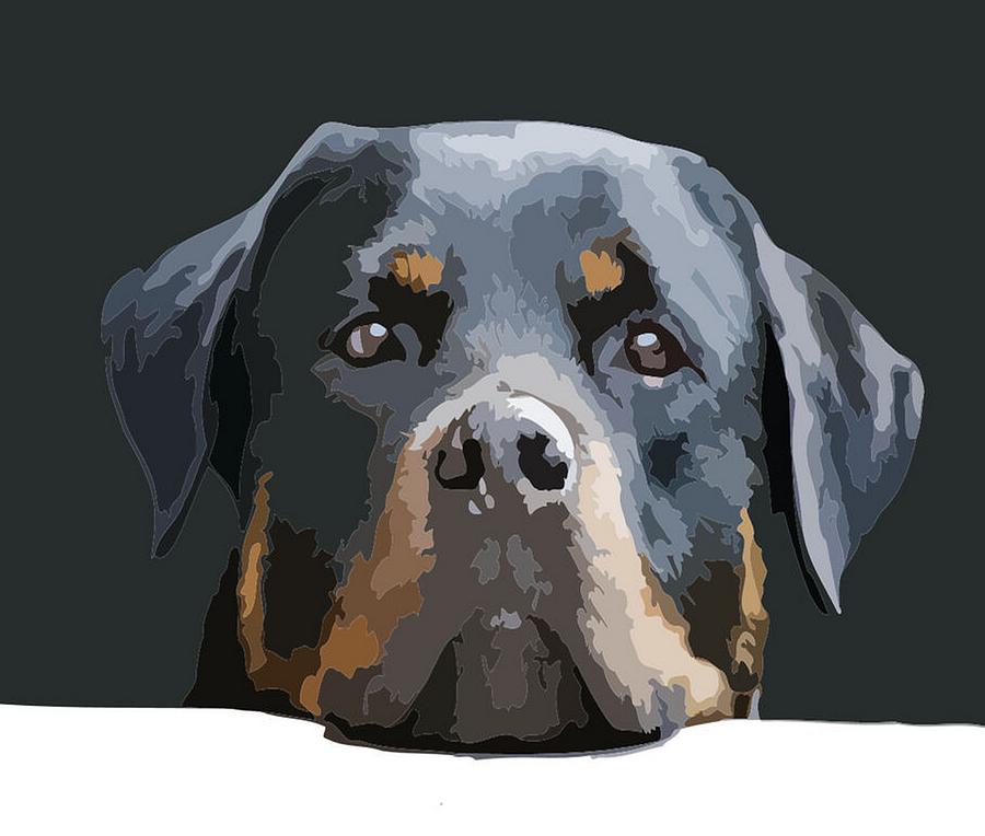 Rottweiler Portrait Vector Digital Art by Taiche Acrylic Art