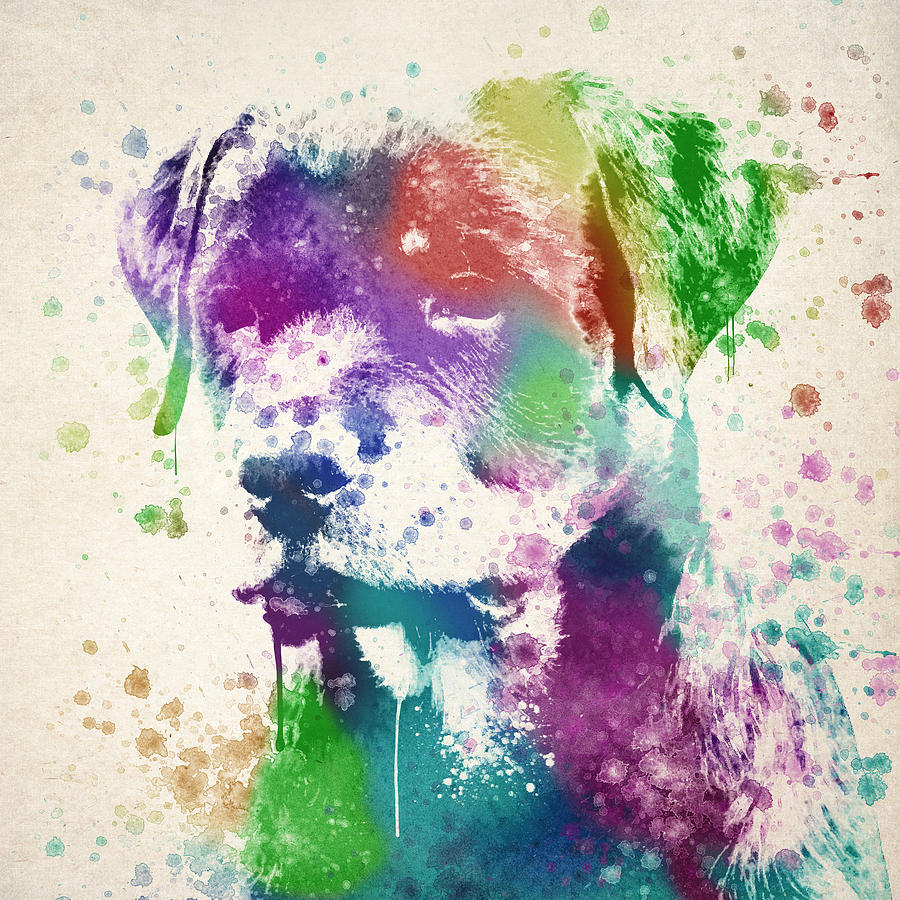Rottweiler Digital Art - Rottweiler Splash by Aged Pixel
