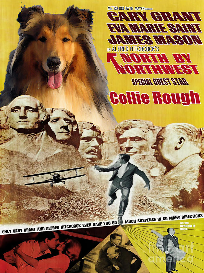 Rough Collie Art Canvas Print - North By Northwest Movie Poster Painting by Sandra Sij