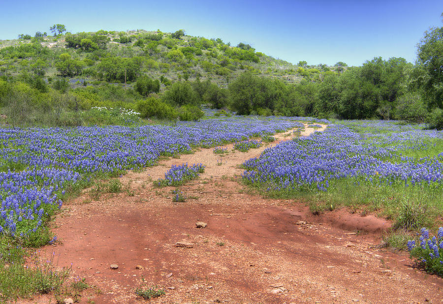 rough-ride-photograph-by-david-and-carol-kelly-pixels