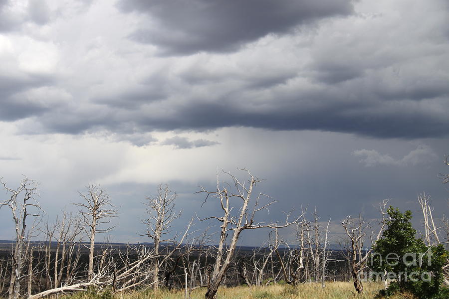 Rough Skys Over Colorado Plateau Photograph by Christiane Schulze Art And Photography