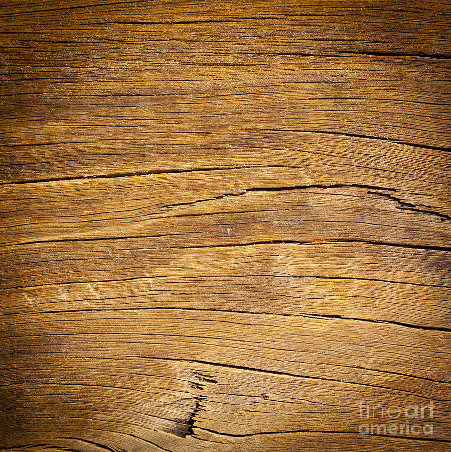 Rough Wood Photograph