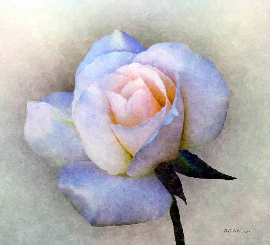 Roughsilk Rose Painting by RC DeWinter