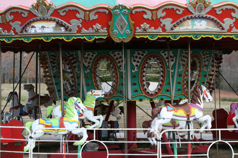 Round and Round We Go Photograph by Kathy Clark - Fine Art America