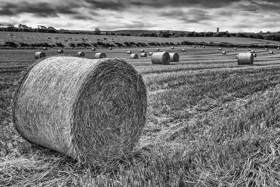 Round Bales Photograph by Nigel R Bell