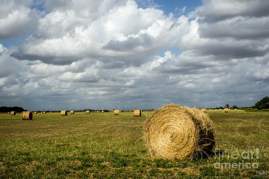 Landscape Photograph - Round Hay Bales in Field by Imagery by Charly