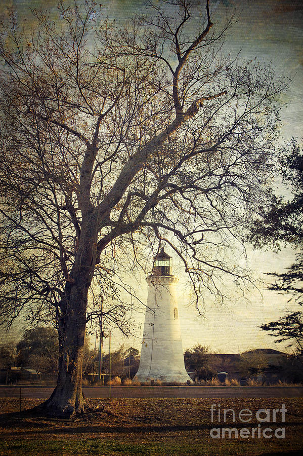 Vintage Photograph - Round Island Lighthouse with Tree by Joan McCool