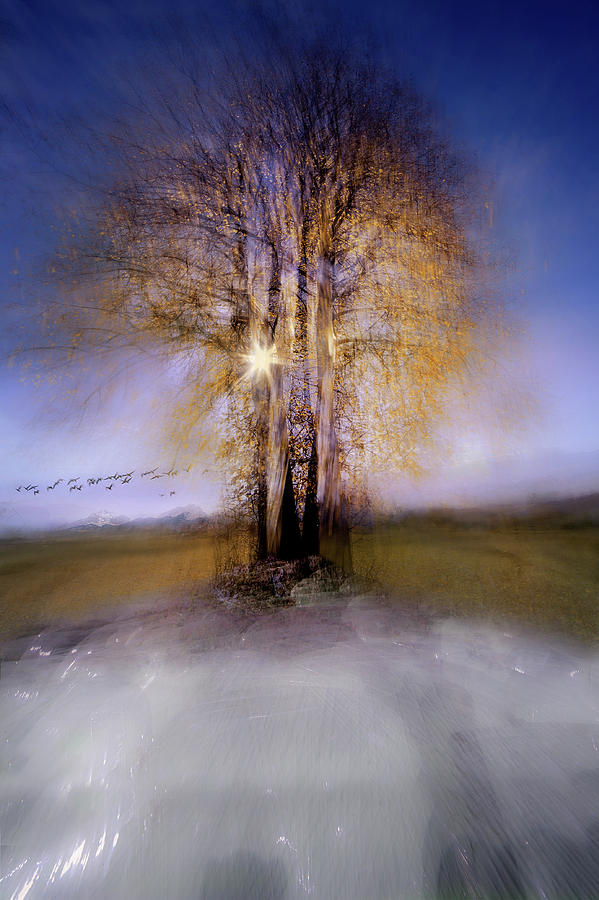 Blur Photograph - Round by Milan Malovrh Blur Photograph - Round by Milan Malovrh