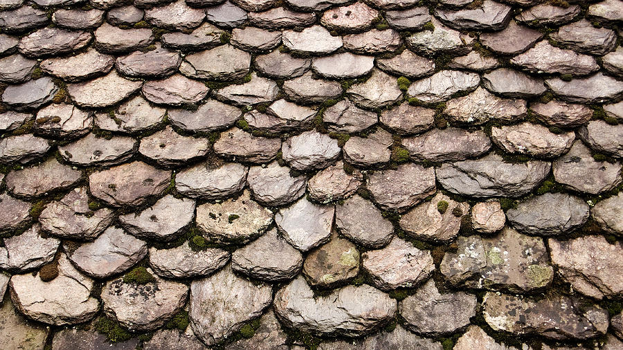 Round Slate Roof Tiles in Najac France Photograph by Weston ...