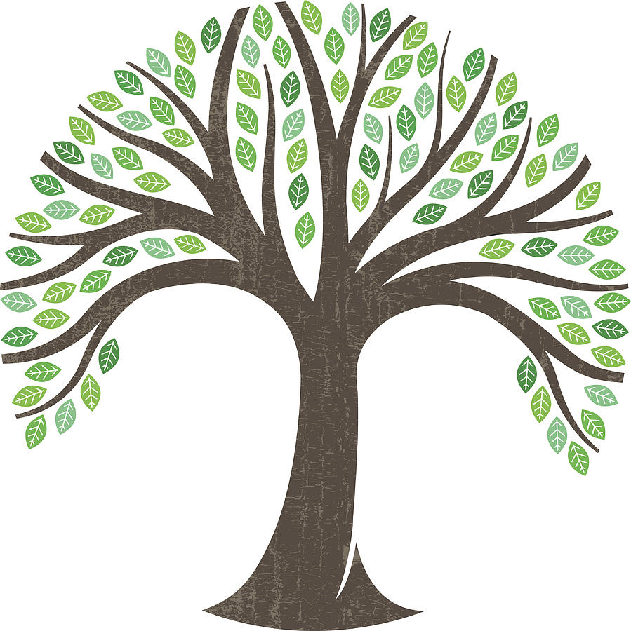 Round tree graphic illustration logo Drawing by Johnwoodcock