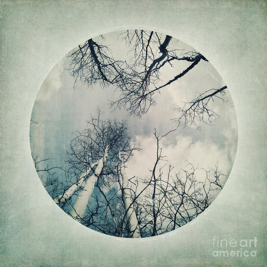 Up Movie Photograph - round treetops II by Priska Wettstein