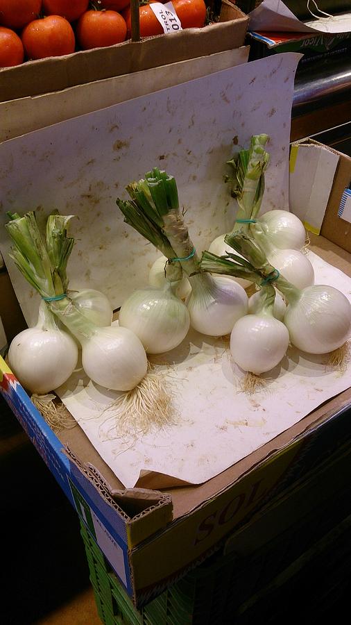 Round White Onions Photograph by Moshe Harboun