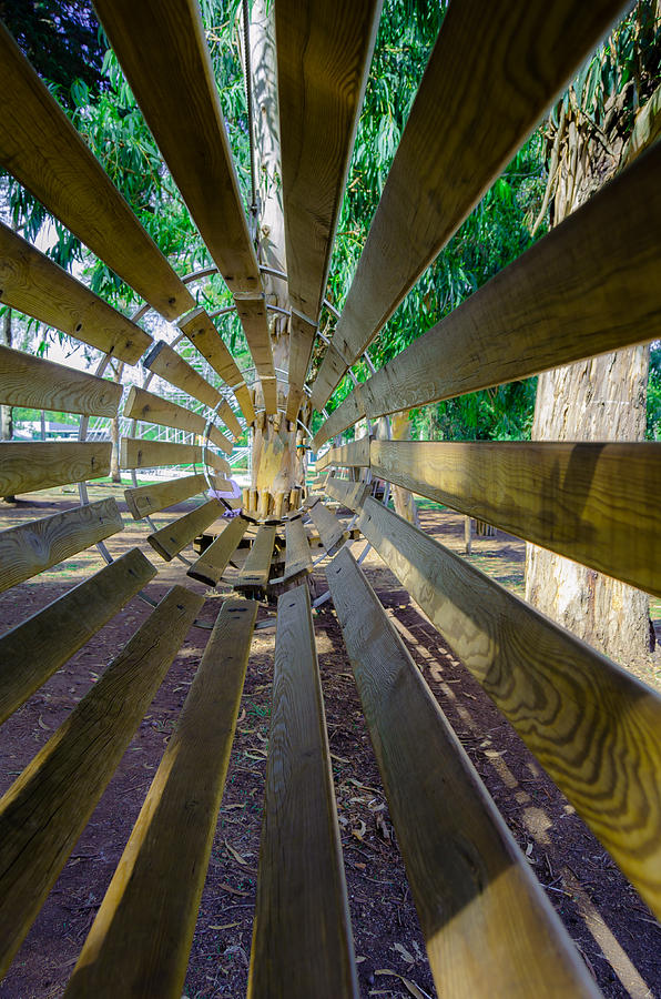 Round Wooden Footbridge Photograph