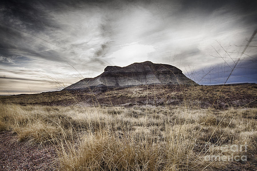 Rounded Hill-Petrified Forest Navajo Photograph by Douglas Barnard