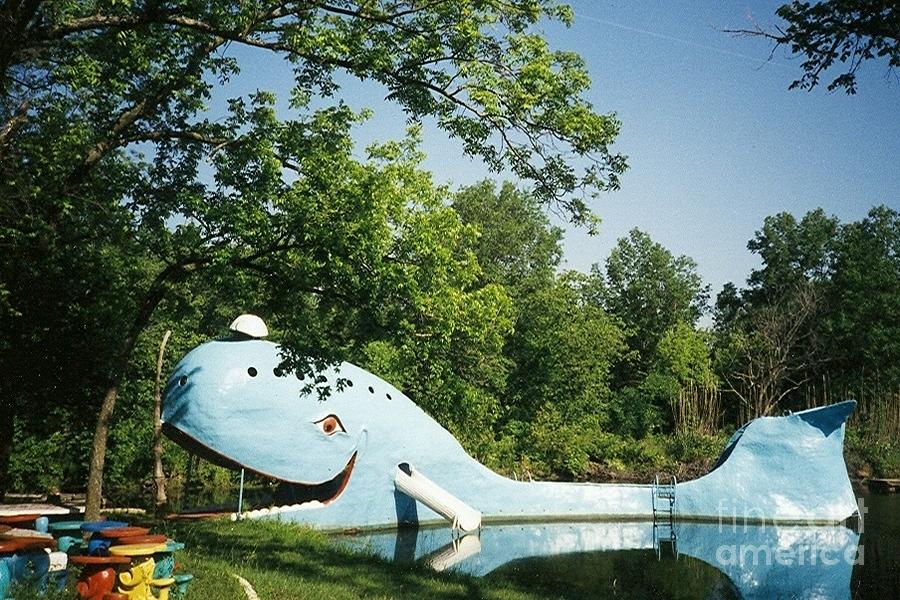 Vintage Photograph - Route 66 Blue Whale Waterpark by Laurie Eve Loftin