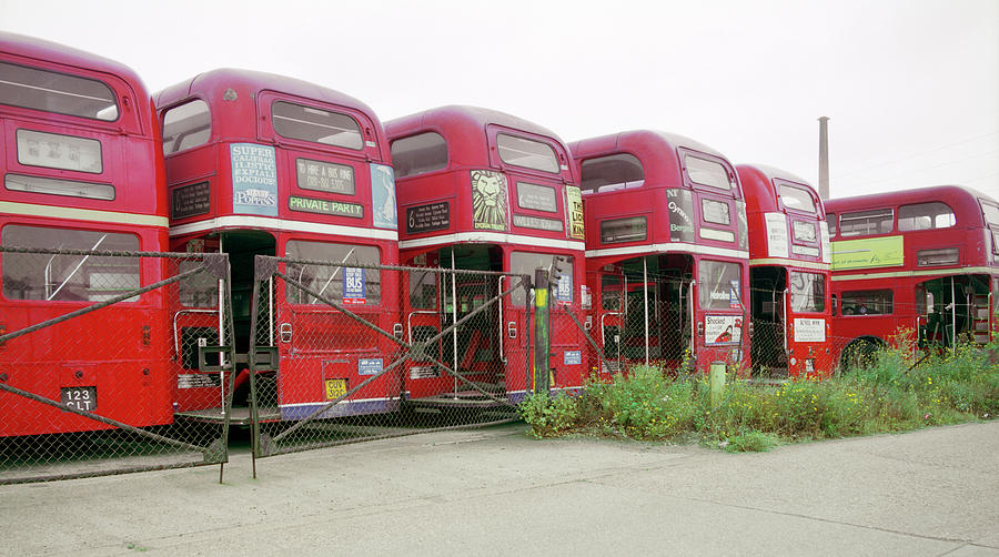 Transportation Photograph - Routemaster Buses by Robert Brook/science Photo Library