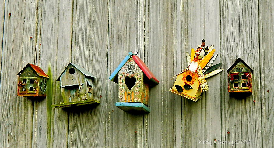 Row Birdhouses Photograph by Kathy Barney