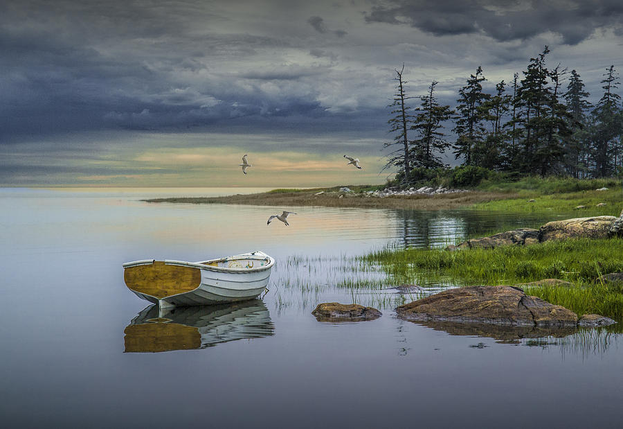 Row Boat by Mount Desert Island Photograph by Randall Nyhof