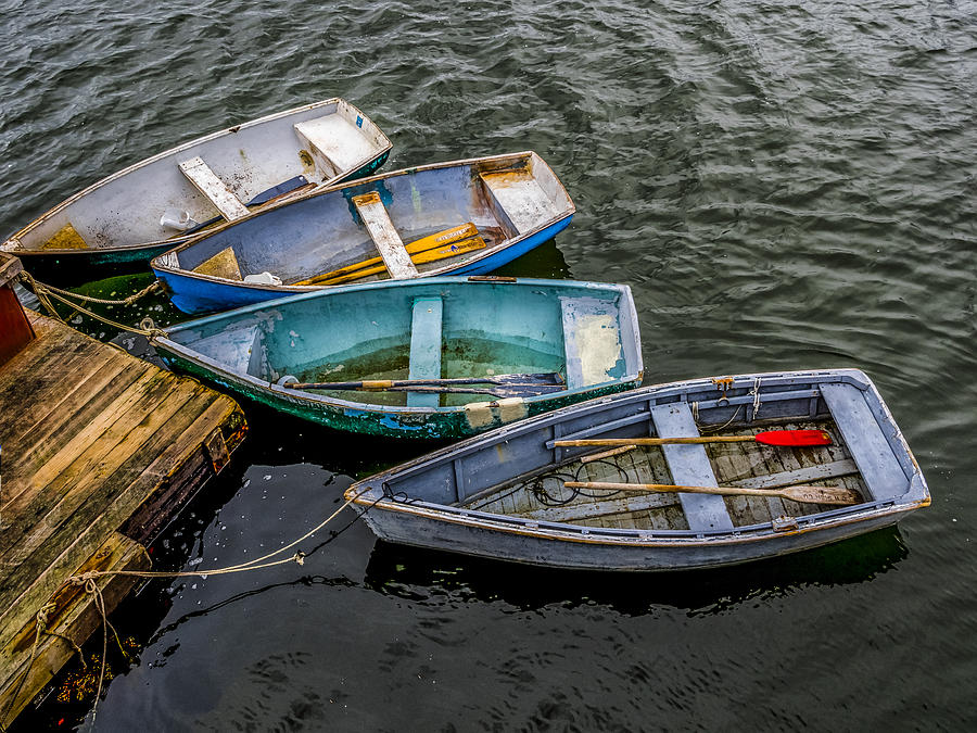 Row Boats At Dock Photograph by David Kay