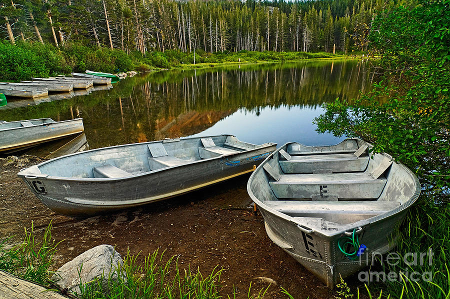 Boat Photograph - Row Boats lining a lake in Mammoth Lakes California by Jamie Pham