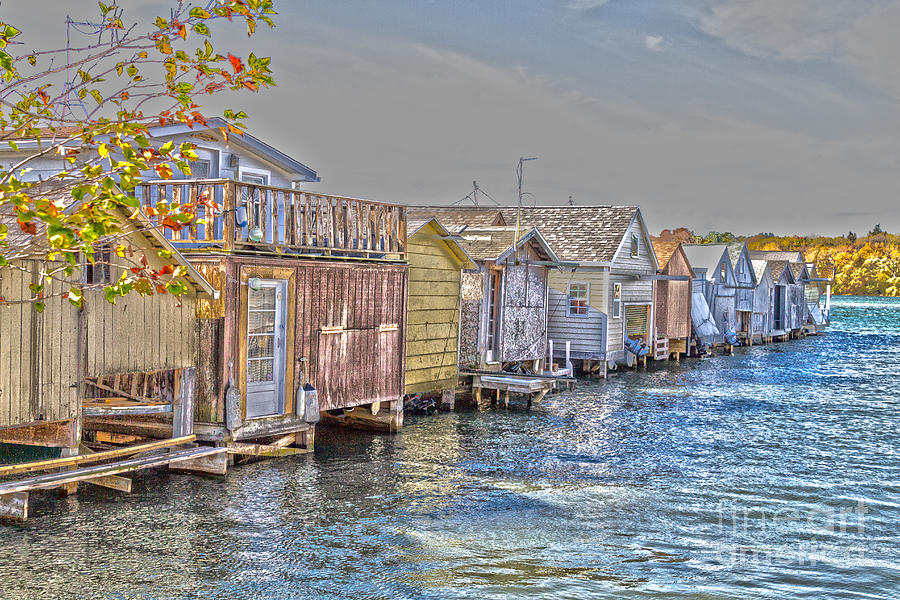 Tree Photograph - Row of Boathouses by William Norton