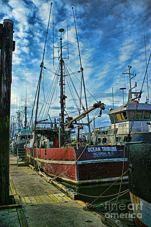 Row of Fishing Boats Photograph by Randy Harris