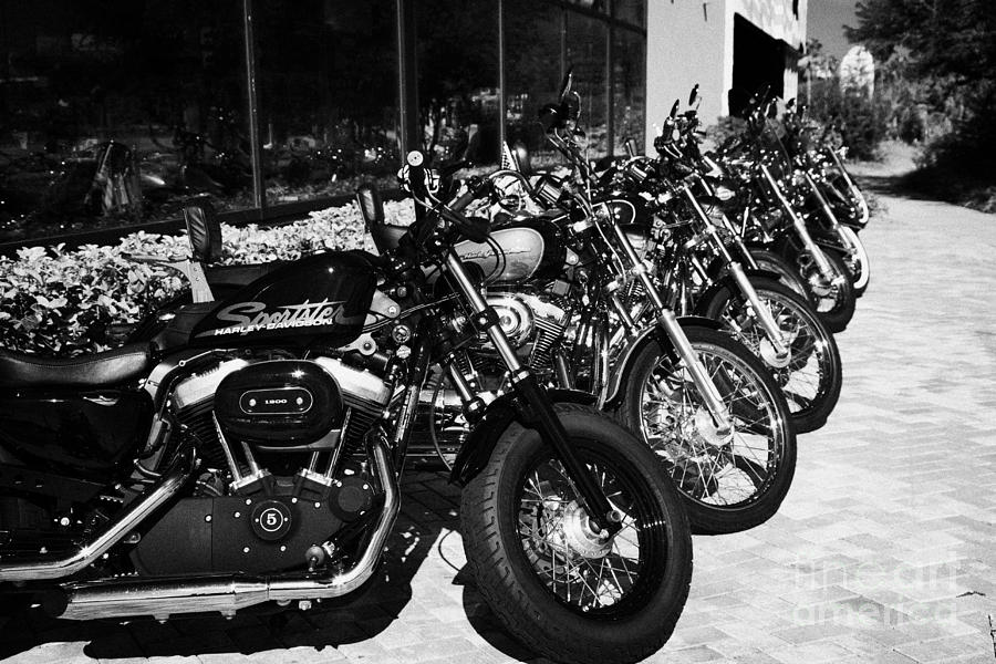 Row Of Harley Davidson Motorbikes Including Sportster 