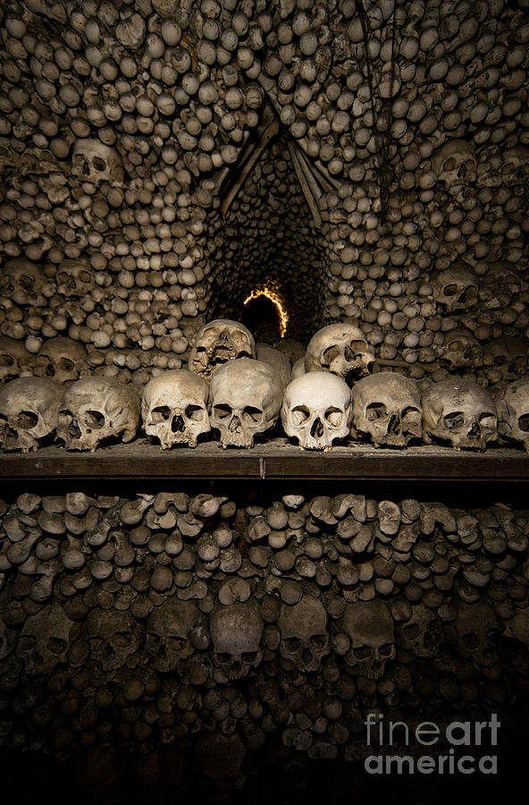 Row of human skulls and bones Photograph by Jaroslaw Blaminsky