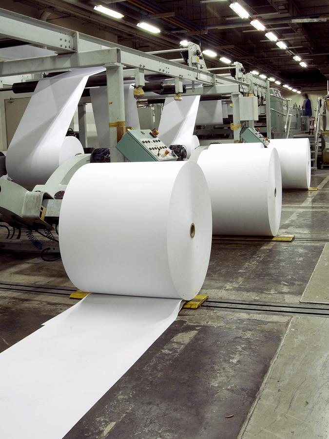 Row of paper rolls for print in a printing factory Photograph by Joakimbkk