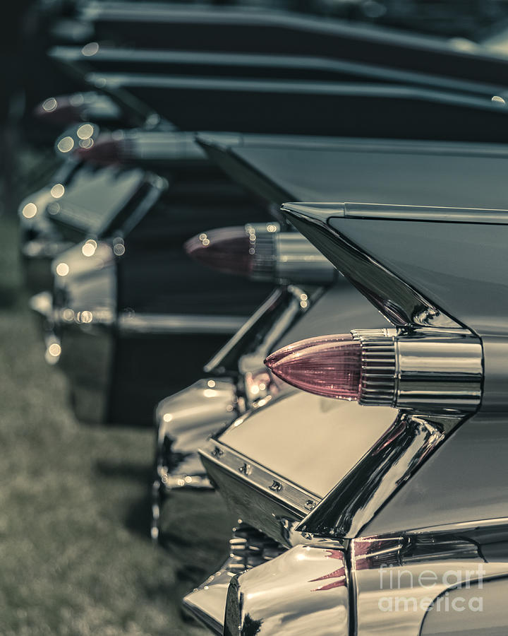 Row of vintage car fins Photograph by Edward Fielding