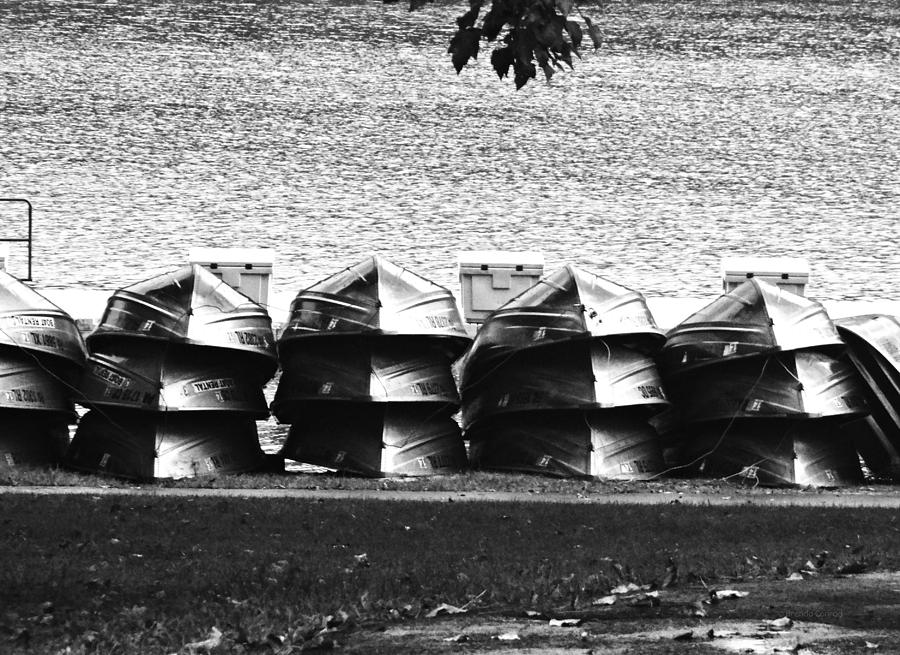 Row Row Row Your Boats Photograph by Dark Whimsy