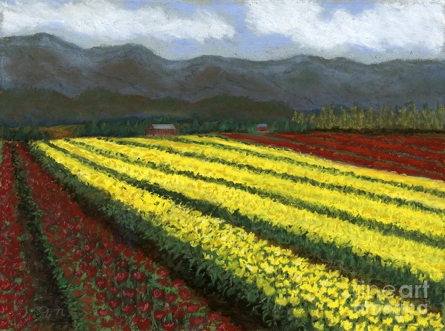 Row Upon Row of Tulips Painting by Ginny Neece