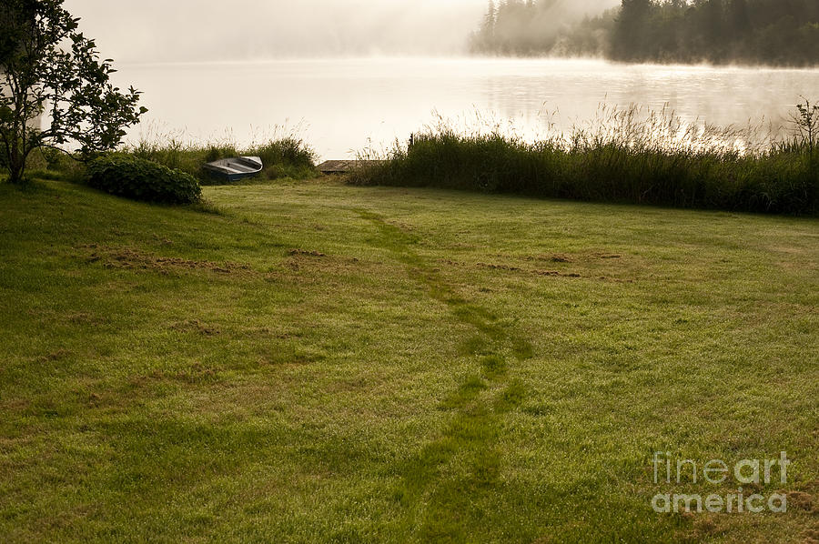 Rowboat along lake shoreline in tall grass Photograph by Jim Corwin
