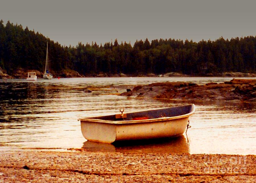 Rowboat At Rest Photograph by Desiree Paquette