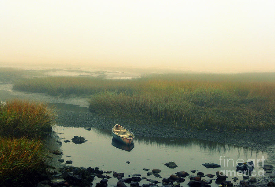 Rowboat in a Rocky Marsh Photograph by Patricia Januszkiewicz