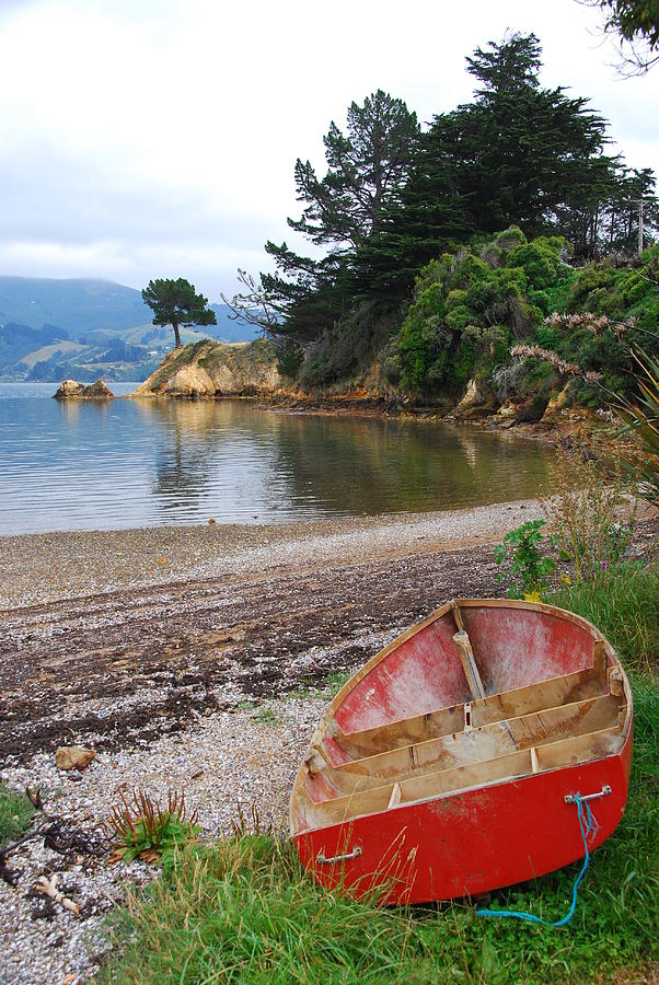 Rowboat on New Zealands Otago Peninsula Photograph by Cascade Colors