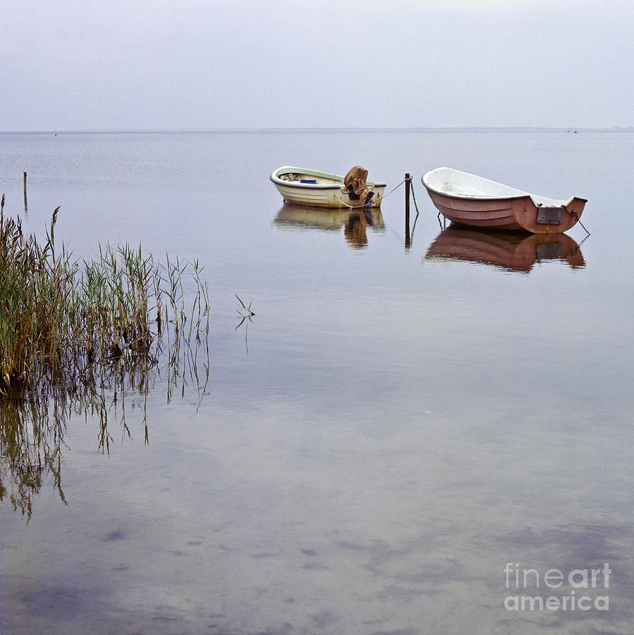 Rowboats on Nonnensee Photograph by Heiko Koehrer-Wagner