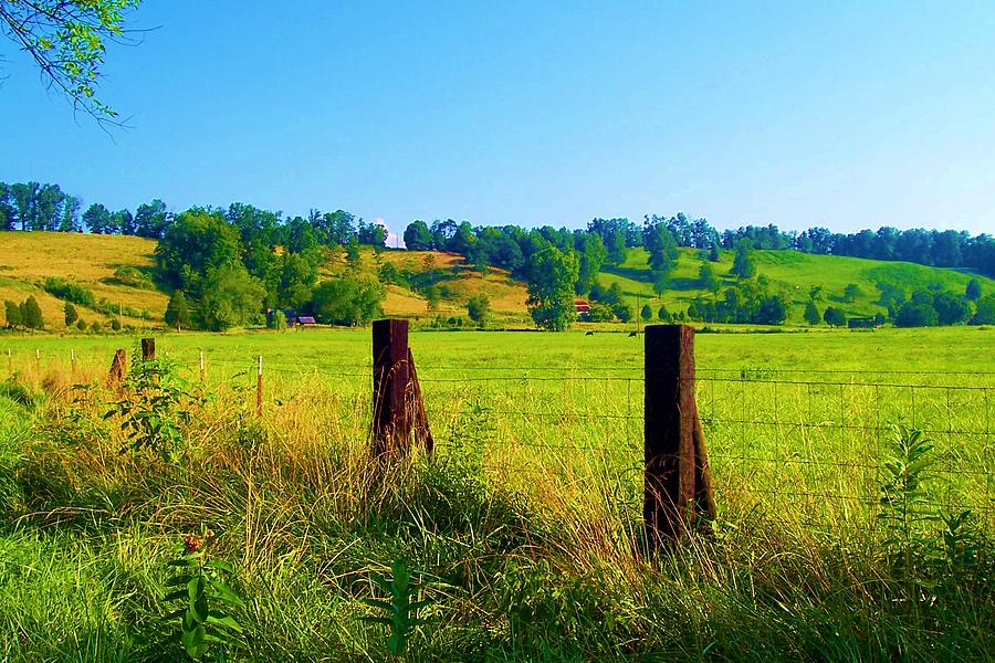 Rowe Cattle Farm In Appalachians Photograph By Peggy Leyva Conley