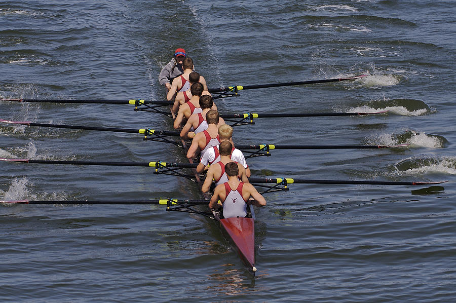 Rowers Photograph by SC Heffner