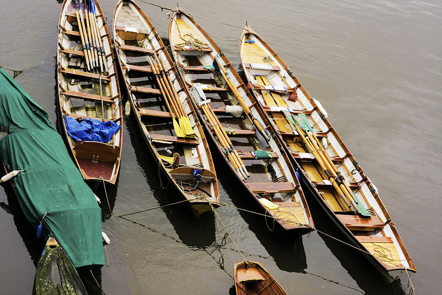 Rowing Boats Photograph by Maj Seda