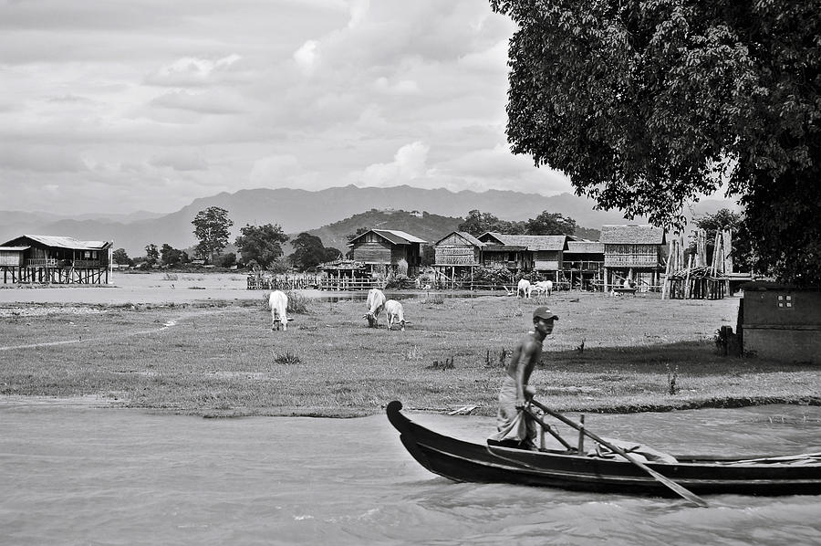 Rowing in the Irrawaddy River Photograph by RicardMN Photography