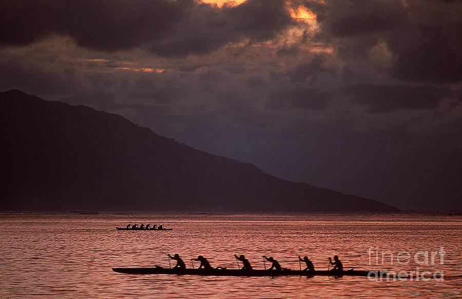 Athlete Photograph - Rowing Teams by James L. Amos