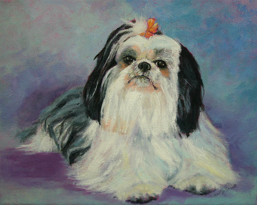 Dog Painting - Roxy Frasier the Shih tzu by Carol Jo Smidt
